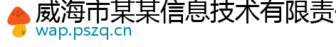 威海市某某信息技术有限责任公司